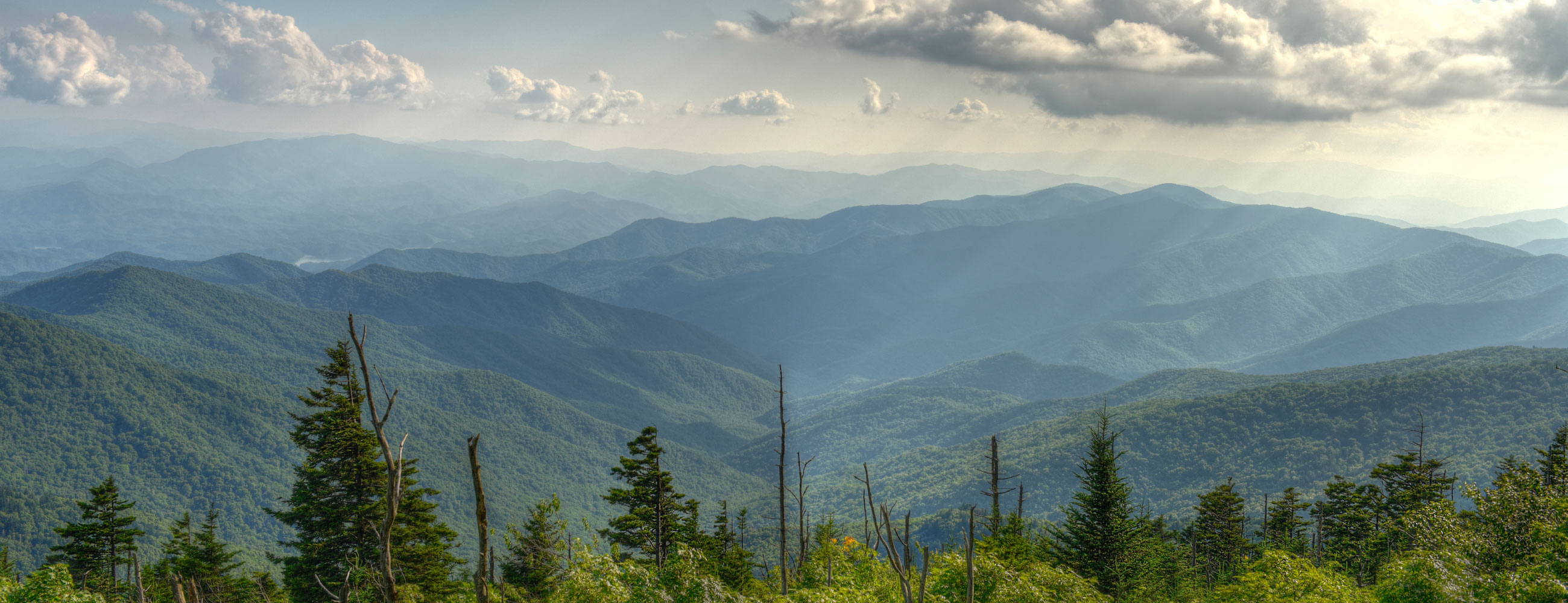 СВОЁ с грядки