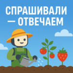 Логотип группы Спрашивали — отвечаем
